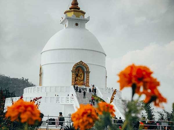World Peace Pagoda, World Peace Pagoda Pokhara