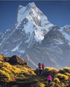 mardi-himal-trekking-by-Travel-himalaya-Nepal-treks-58