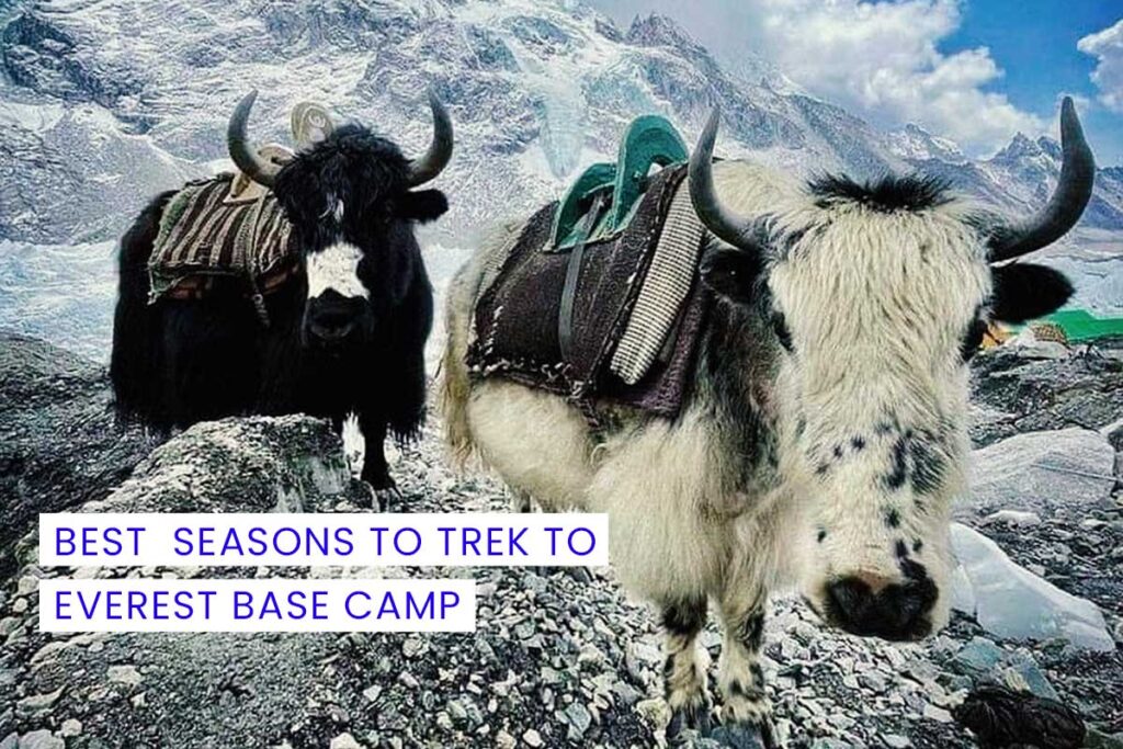 Best Seasons to Trek to Everest Base Camp