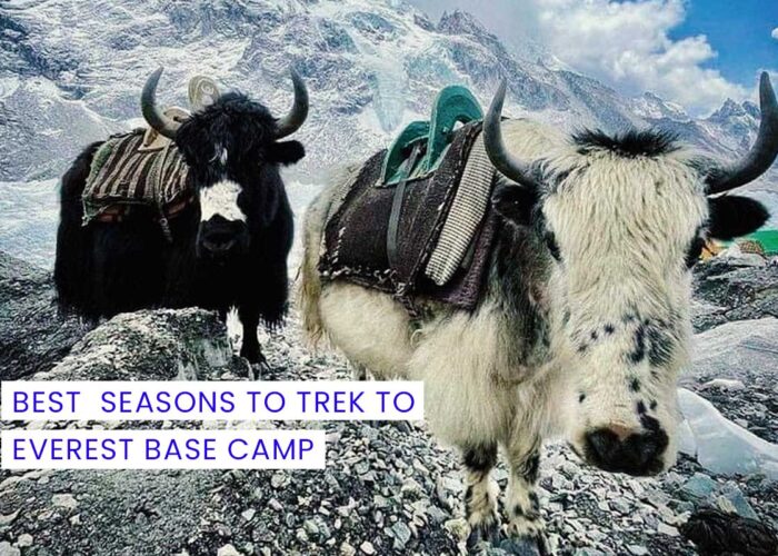 Best Seasons to Trek to Everest Base Camp