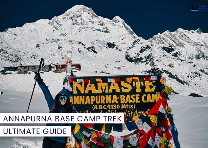 Ultimate Guide to ABC Trek